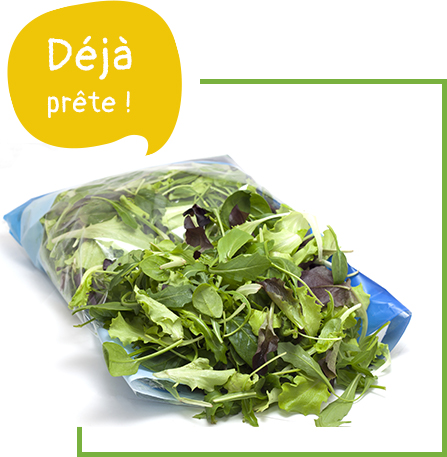 Salade en sachet